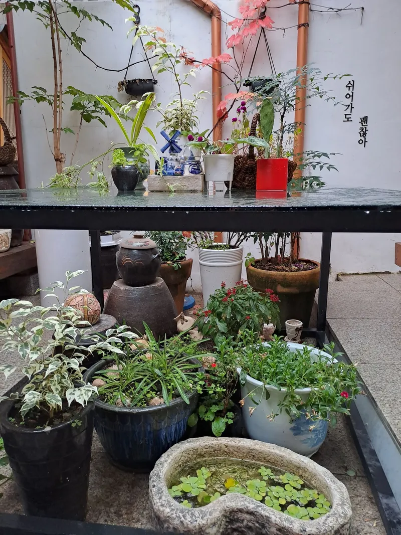 [Jongno, Seoul] A traditional Korean house located in the middle of Seochon, Gyeongbokgung Palace 8