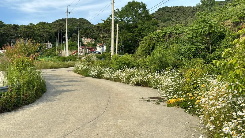 [Hongseong] Pine Tree House, Gyeolseong-myeon - A place with a beautiful sunset over the West Sea 10