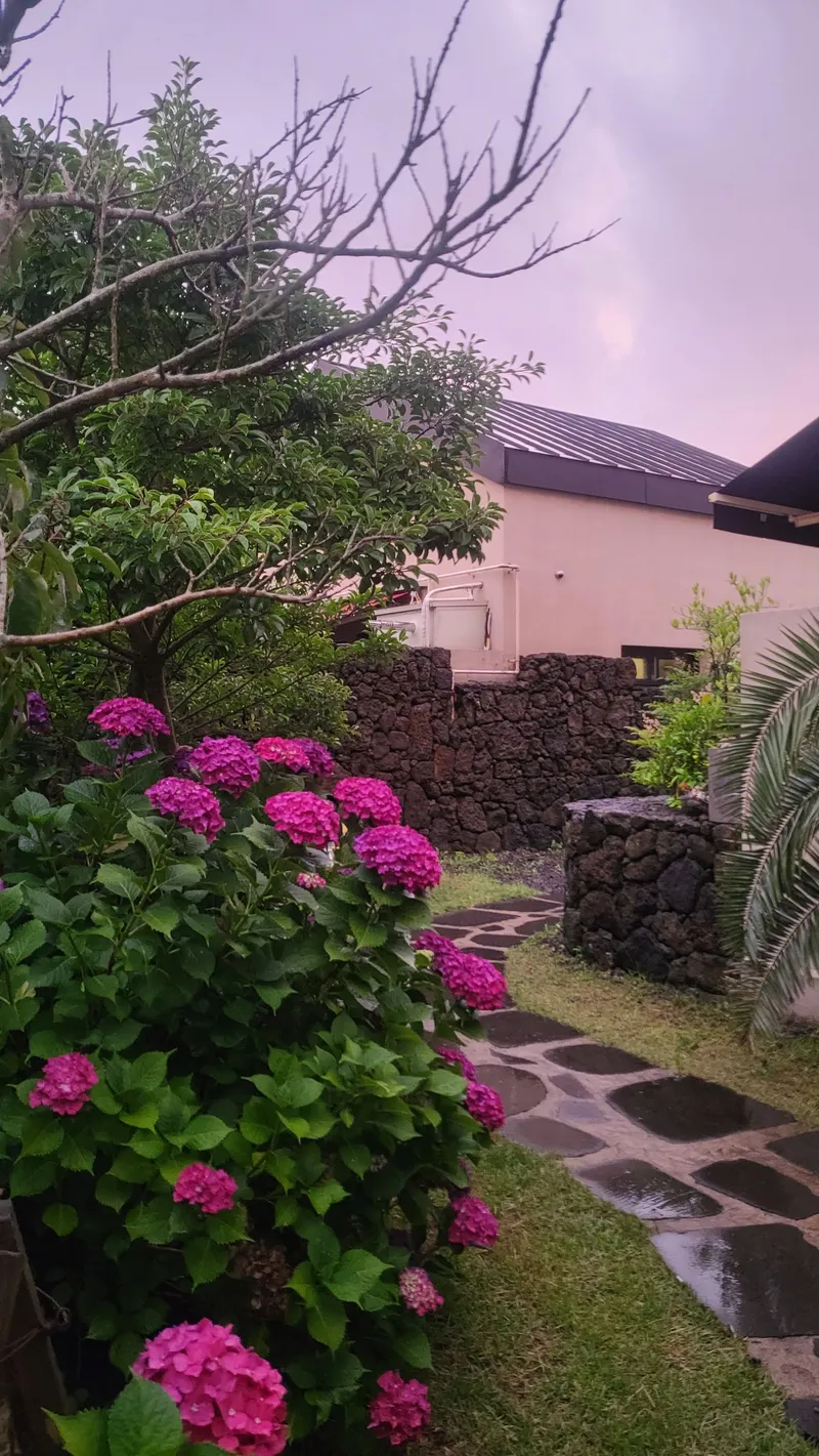 [제주 애월] #제주돌담독채펜션#반려동물동반가능 감성숙소 16