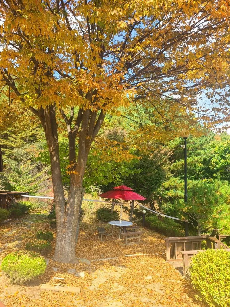 [Pyeongchang] Cabin A "Scent of the Forest" Duplex Private House, Pristine Area. Queen Bed Room, Downstairs Room 26