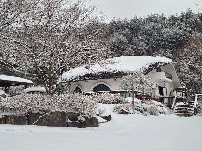 [Pyeongchang] Cabin A "Scent of the Forest" Duplex Private House, Pristine Area. Queen Bed Room, Downstairs Room 33