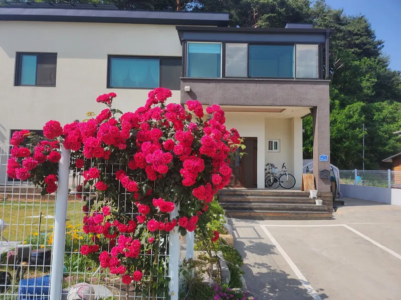 [Gangneung] White Villa 10