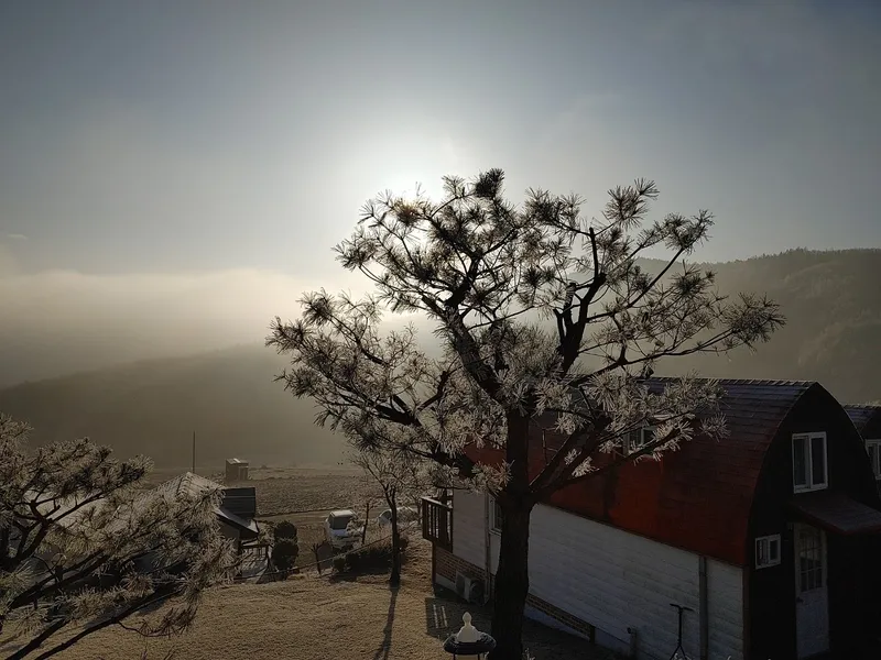 [Pyeongchang] Cabin A "Scent of the Forest" Duplex Private House, Pristine Area. Queen Bed Room, Downstairs Room 28