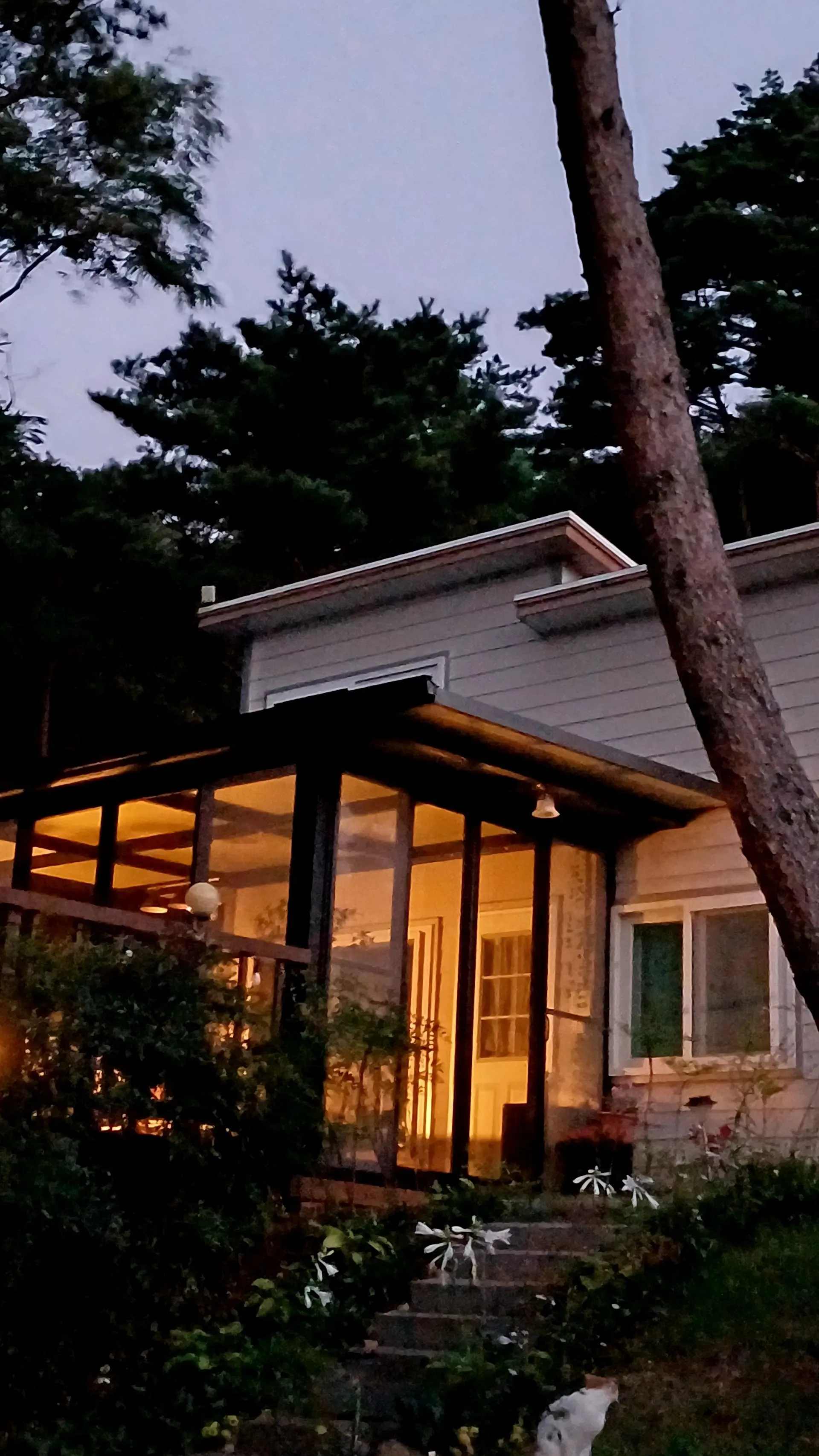 Seobu-myeon Pet-Friendly Forest Villa