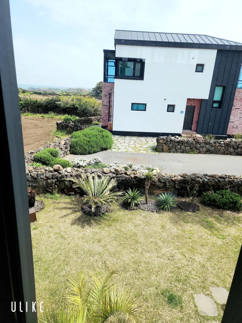 [Gujwa, Jeju] "Jeju Hado Badang" Hado Beach, Udo Island, Seongsan Ilchulbong Peak, Bijarim Forest, Seopjikoji, Jimanjanggul Cave 53