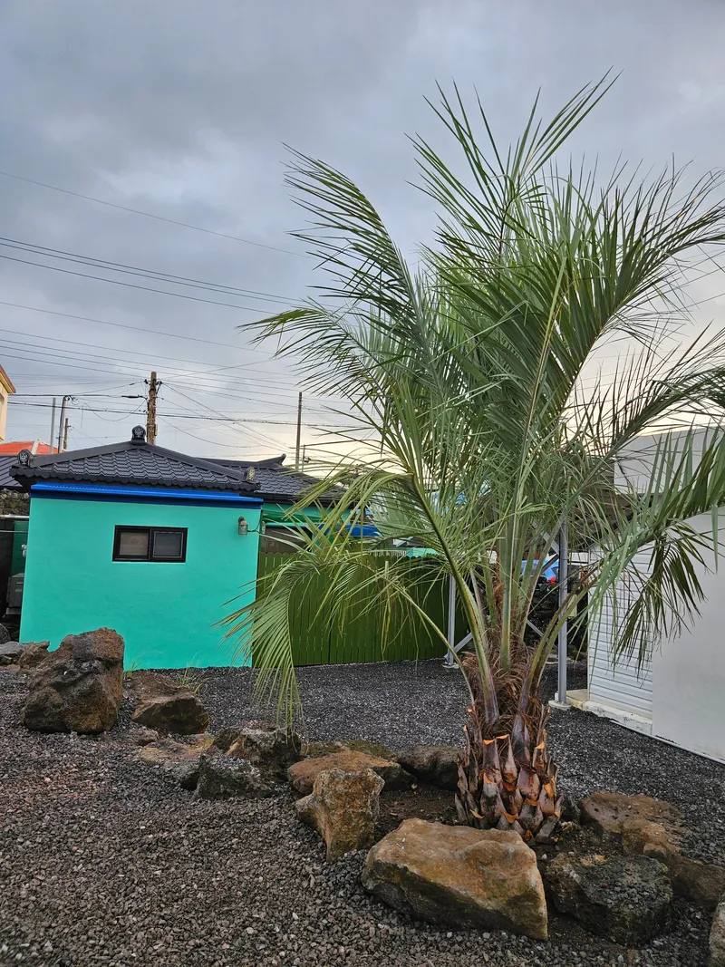 [Aewol, Jeju] A quiet, independent house in a rural village near Aewol Port 32