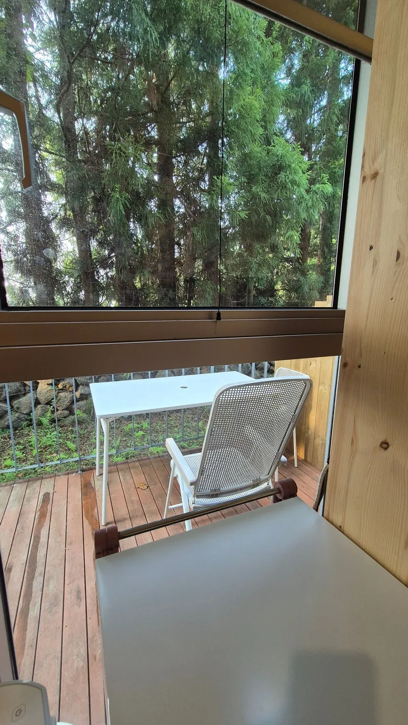 [Topyeong-dong, Seogwipo] (7 days or more) STAY Forest of Silence #1st floor terrace #Forest #Cedar stone wall forest [Seogwipo] 48