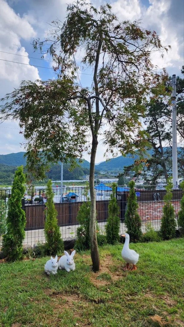 [충북 옥천] #시골살기#잔디마당#감성숙소#애견동반숙소#한팀만을위한 독채 28
