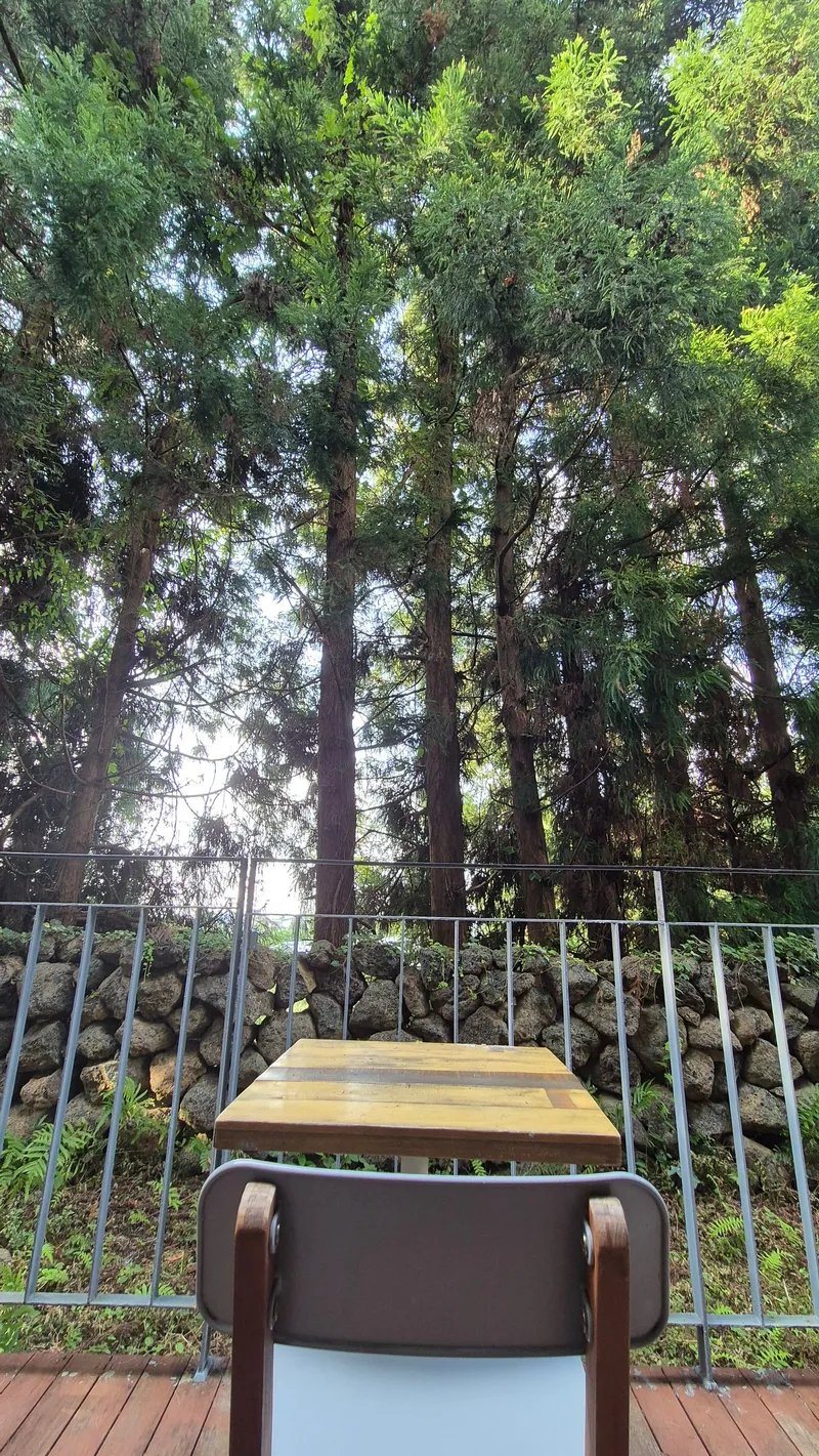 [Topyeong-dong, Seogwipo] (7 days or more) STAY Forest of Silence #1st floor terrace #Forest #Cedar stone wall forest [Seogwipo] 41