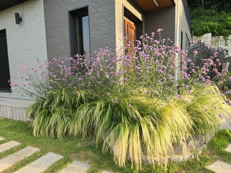 [Yangpyeong] A two-story, modern-style house with a great view 27