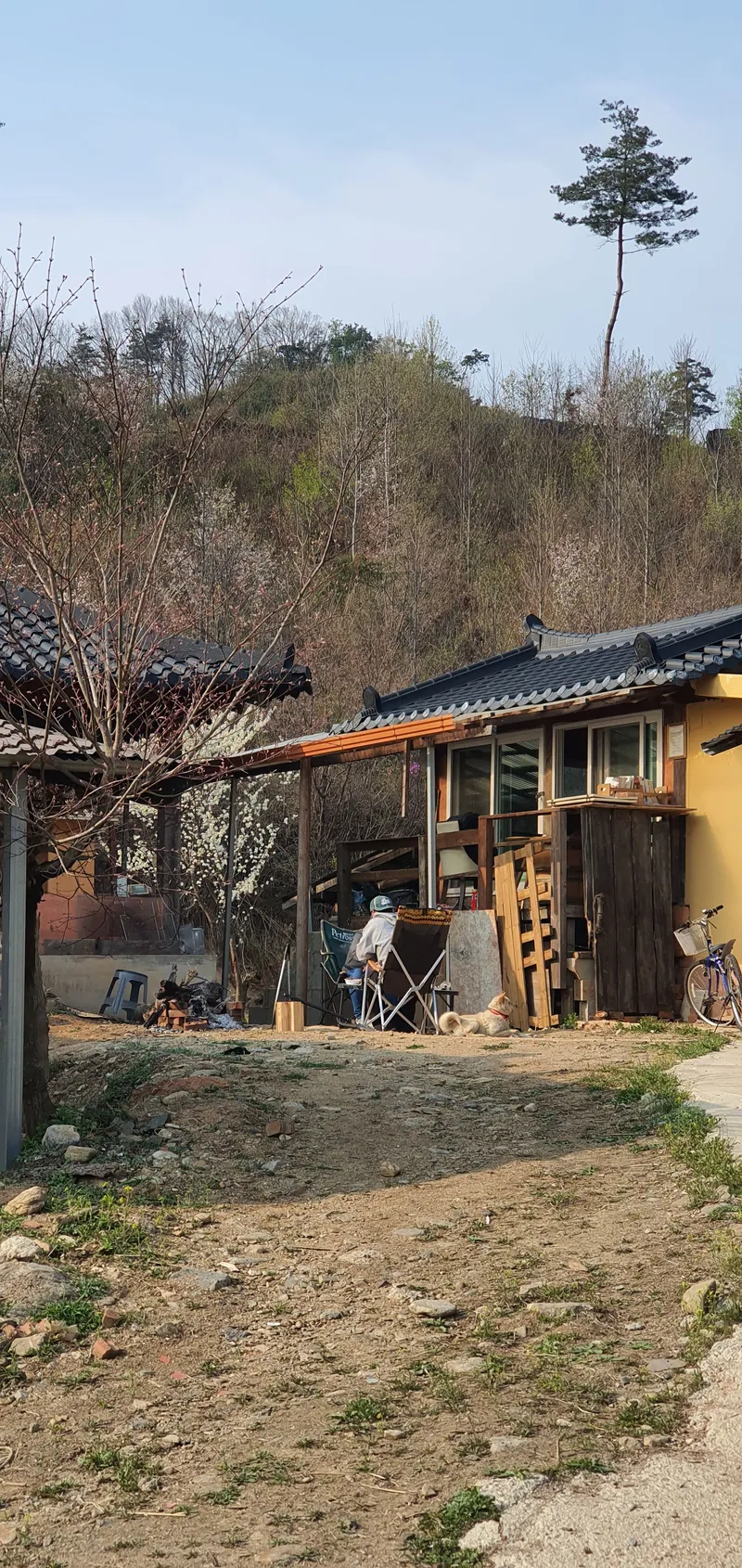 [충북 진천] 한옥원목황토방구들원목서까레. 황토구들방 원룸독체#장작불구들 2