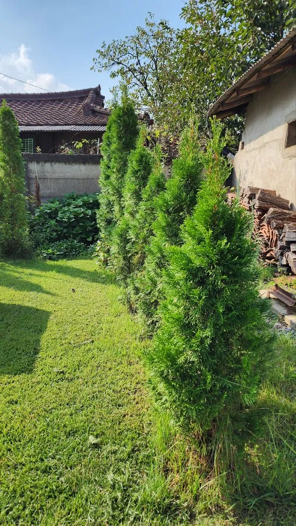 [Nonsan][Nonsan Yangchon] #Pets allowed #Spacious lawn #Sunlit view from large windows #Independent vacation home 43