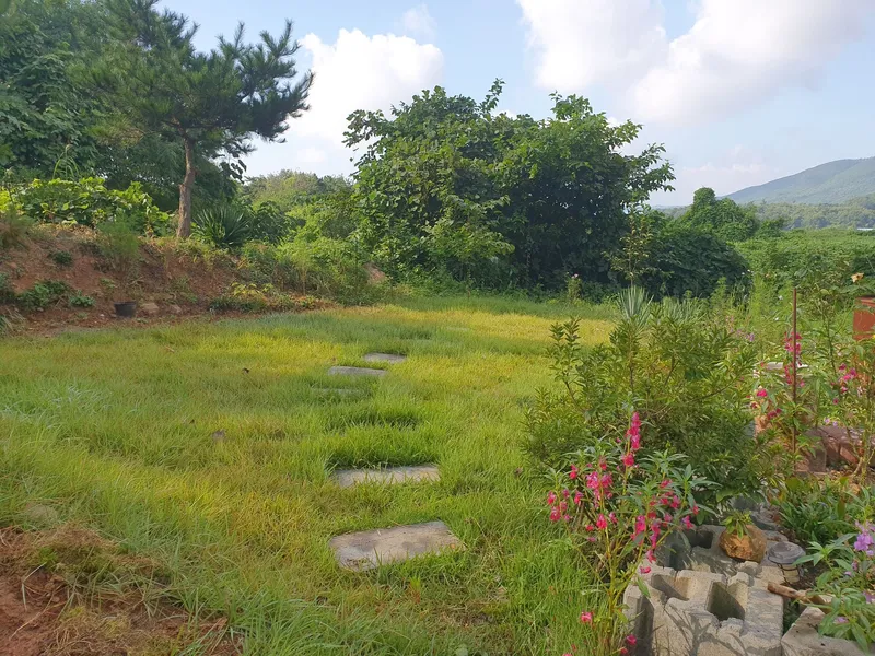 [Hongseong] Pine Tree House, Gyeolseong-myeon - A place with a beautiful sunset over the West Sea 3