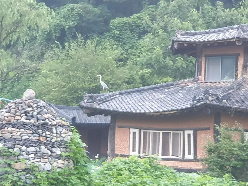 [경남 밀양] 멍 스테이:멍하니 머물다# 그냥 쉬고 싶다면 여기 #반려견동반가능 87