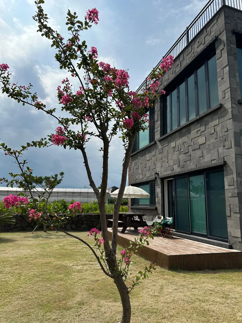 [Namwon, Seogwipo] Seogwipo Namwon Pyeoseon Sea 10 minutes Dog-friendly independent pool villa 57