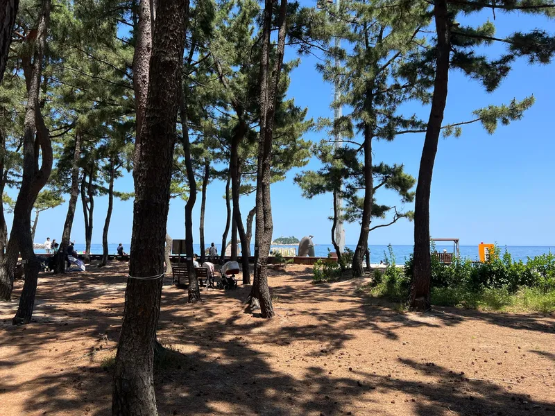 [Sokcho] Ocean view newly built 1.5 room I like Sokcho 14