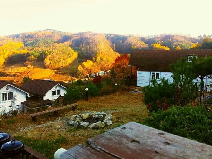 [Pyeongchang] Log M2 Room Private Duplex Pool A forest garden inside me 5