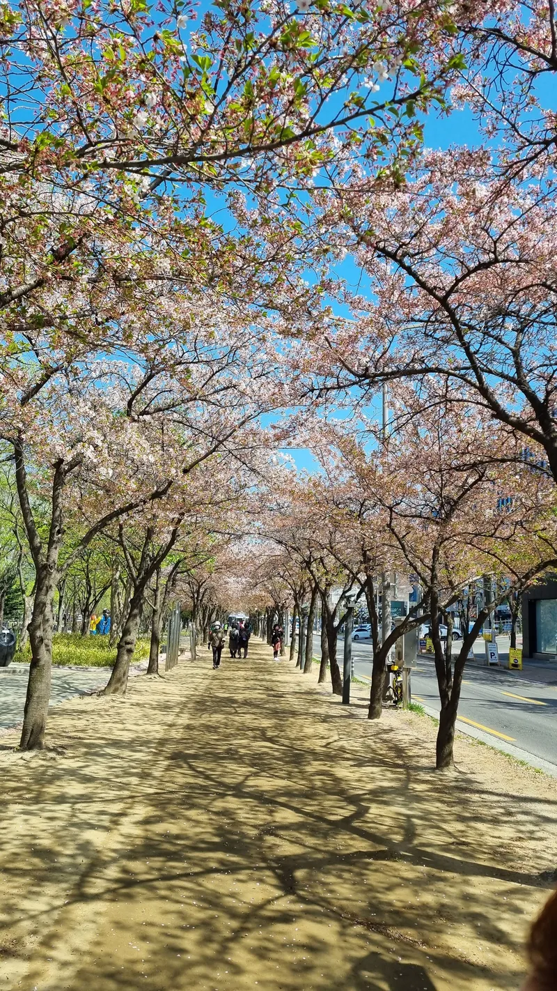 [Suseong, Daegu] Cozy and emotional one-room accommodation near Suseong Lake in Dongdaegu 12