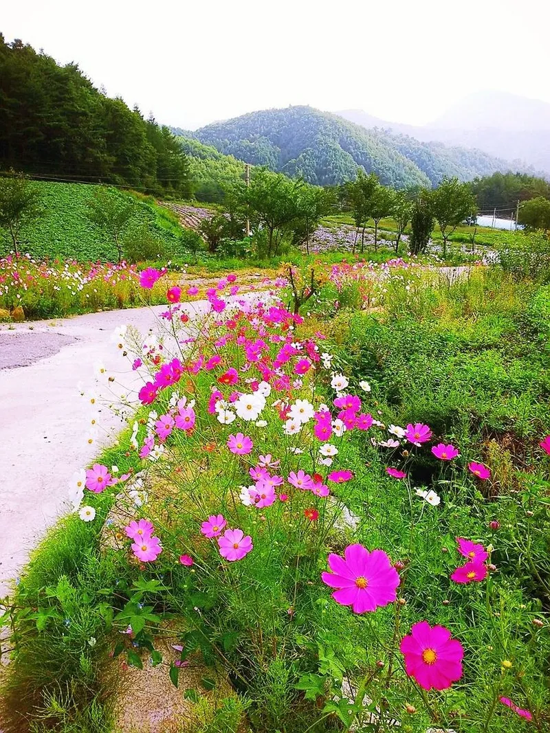 [Pyeongchang] Log M2 Room Private Duplex Pool A forest garden inside me 9
