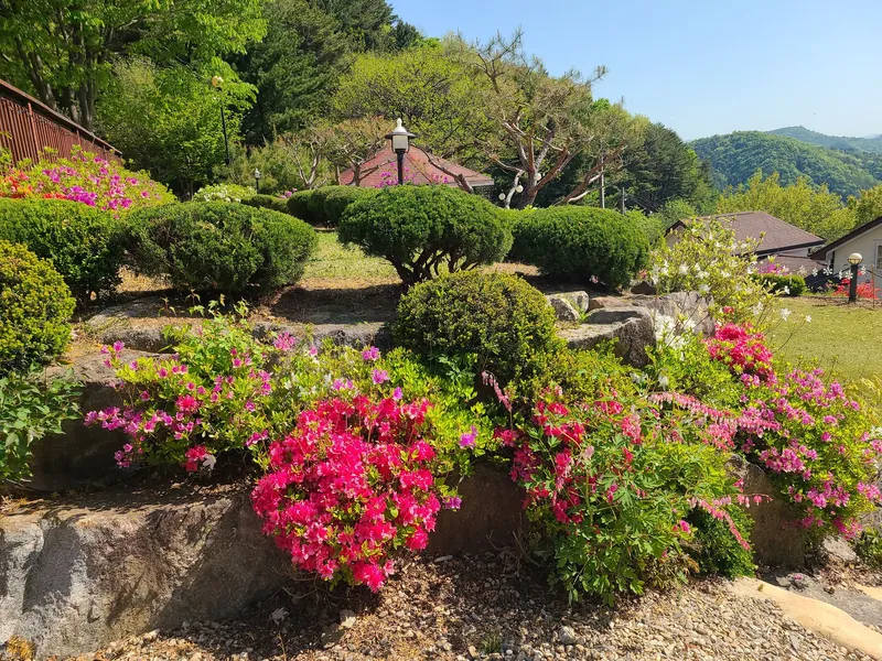 [Pyeongchang] Cabin A "Scent of the Forest" Duplex Private House, Pristine Area. Queen Bed Room, Downstairs Room 29