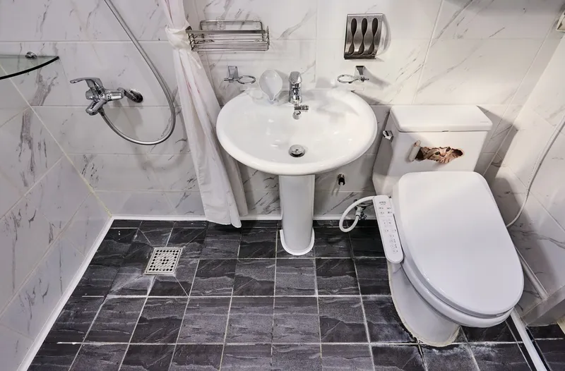 [Seodaemun, Seoul] PINE SECRET HOUSE (5 minutes from Hongik University Station, two-room balcony) 25