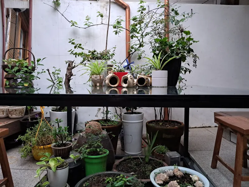 [Jongno, Seoul] A traditional Korean house located in the middle of Seochon, Gyeongbokgung Palace 20