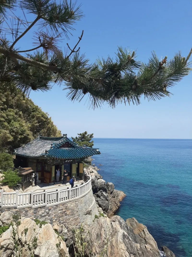 [Yangyang] #20 pyeong#Surf Beach#High-rise ocean view pool interior apartment 31