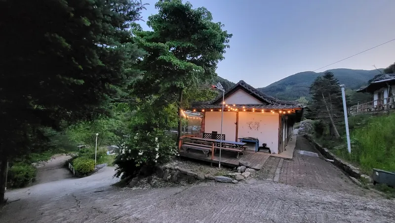 [Gapyeong] In the middle of the pine forest, in the middle of the city _One room #6 #Pets 23