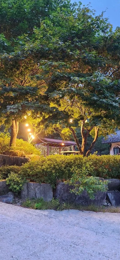 [Pyeongchang] Log M2 Room Private Duplex Pool A forest garden inside me 25