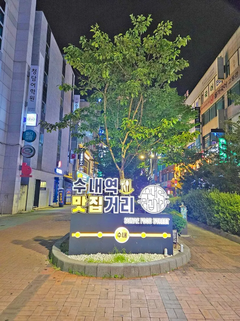 [경기 성남] 분당 수내역 판교 풀옵션,건조기 32