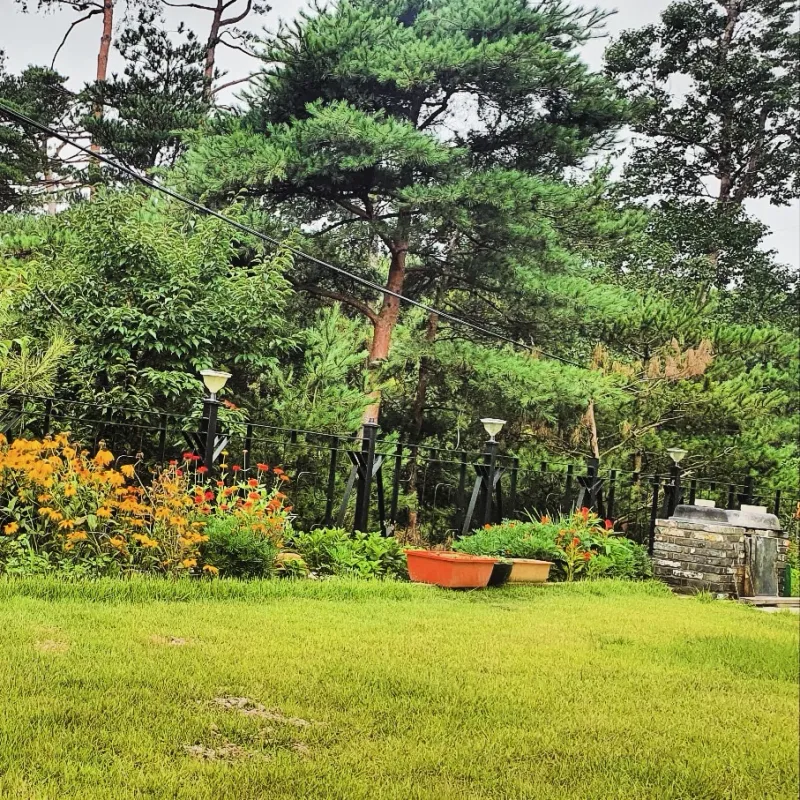 [강원 강릉] 반려견 동반 가능 잔디마당 있는 독채 49
