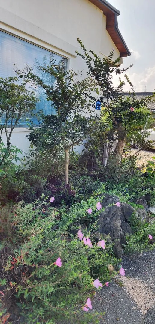 [Nonsan][Nonsan Yangchon] #Pets allowed #Spacious lawn #Sunlit view from large windows #Independent vacation home 40