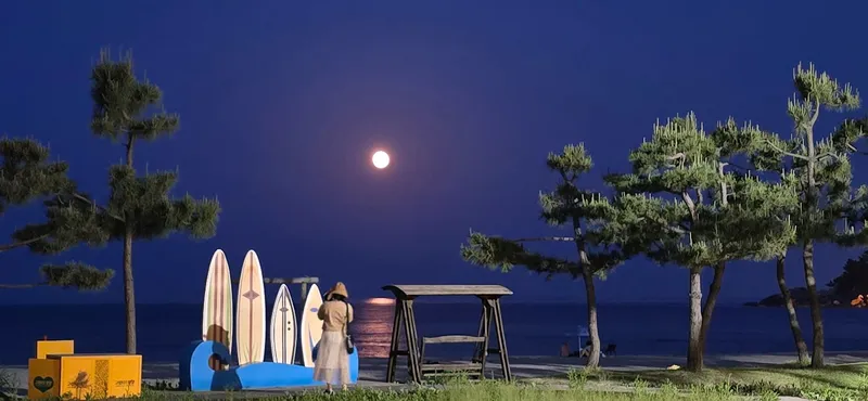 [강원 양양] 양양 죽도(E7)#서핑_도보1분 오션뷰_넓은테라스_강릉근접_넷쿠디티OTT 63