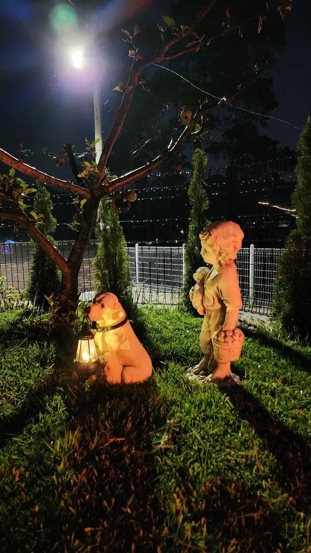 [충북 옥천] #시골살기#잔디마당#감성숙소#애견동반숙소#한팀만을위한 독채 78