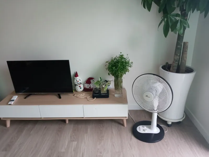 [Gangneung] White Villa 14