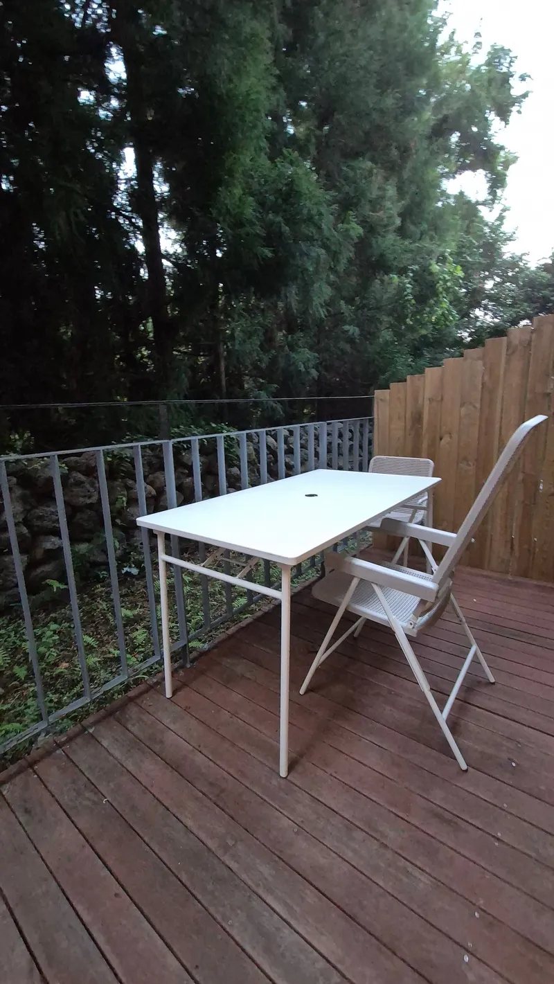 [Topyeong-dong, Seogwipo] (7 days or more) STAY Forest of Silence #1st floor terrace #Forest #Cedar stone wall forest [Seogwipo] 58